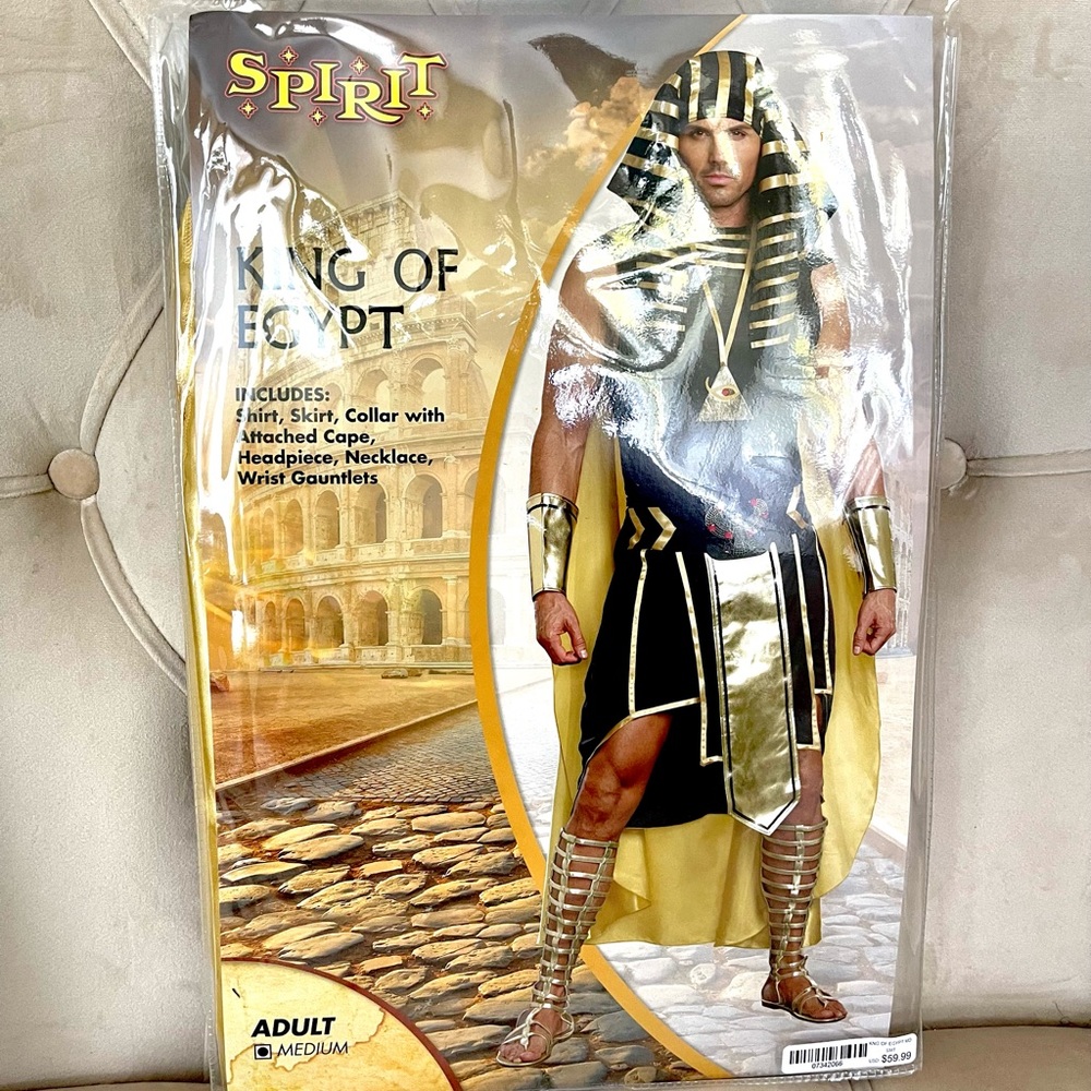 King of Egypt: Black & Gold Men’s Adult Costume (Size Medium)